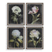 Uttermost - 32426 - Framed Prints, Set/4 - Florals On Black - Dark Brown