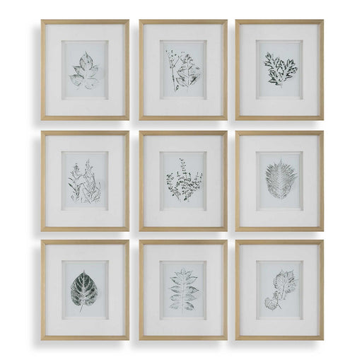Nature's Framed Botanical Prints Set/9 Gold