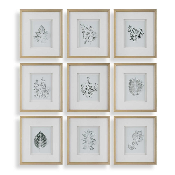 Uttermost - 32449 - Framed Botanical Prints Set/9 - Nature's - Gold