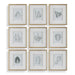 Uttermost - 32449 - Framed Botanical Prints Set/9 - Nature's - Gold