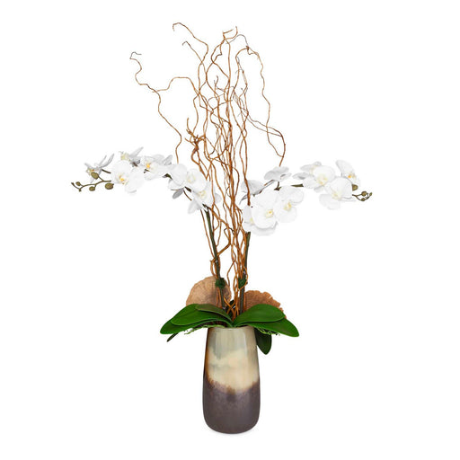 Earthbound Orchid Orchid With Vase Natural Textures