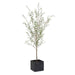Uttermost - 60240 - Tree - Abundance - Olive