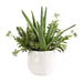 Uttermost - 60244 - Planter - Sundown Succulent - Gloss White