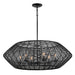 Hinkley - 10386BK - LED Chandelier - Luca - Black