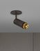Buster + Punch - NEIG-183977 - LED Spotlight - Brass