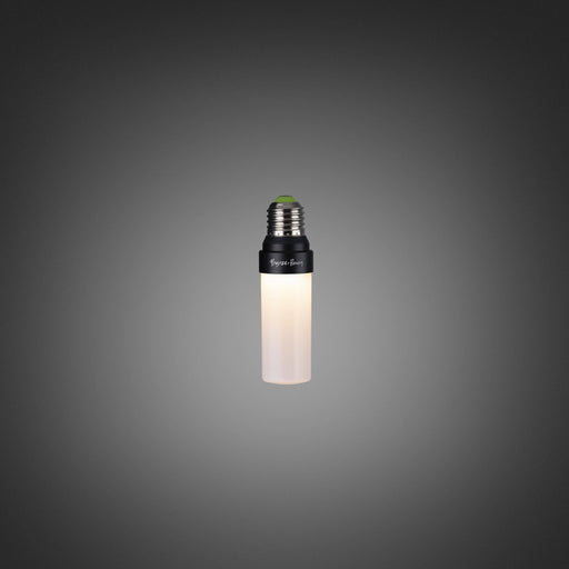 Buster + Punch - NFB-011581 - Light Bulb - Opal