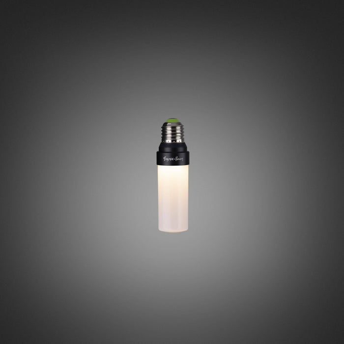 Buster + Punch - NFB-011581 - Light Bulb - Opal