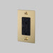 Buster + Punch - NSK-053410 - Duplex Outlet - Brass