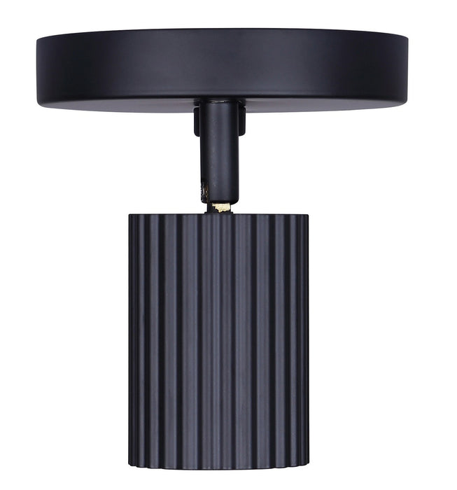 Canarm - ICW1119A02BK10 - Two Light Track Lighting - Rexton - Black