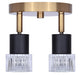 Canarm - ICW1161A02BKG10 - Two Light Track Lighting - Elsee - Black/Gold