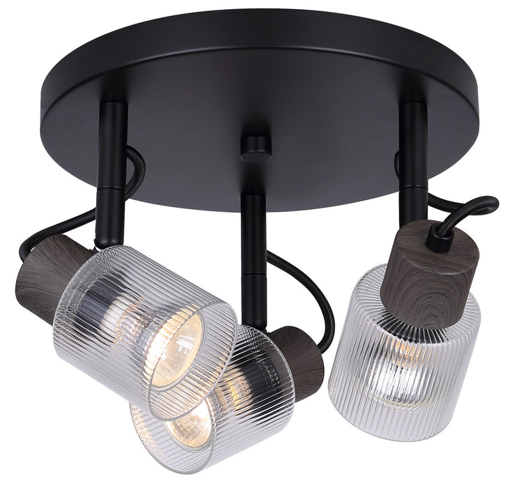 Canarm - ICW1198A03BKW10 - Three Light Ceiling/Wall Mount - Owen - Black