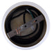 Canarm - IPL1169A01GDP - One Light Pendant - Monroe - Gold