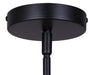Canarm - IPL2104B01BK - One Light Pendant - Ledger - Black