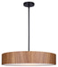 Canarm - IPL318A04BKW22 - Four Light Pendant - Dexter - Matte Black
