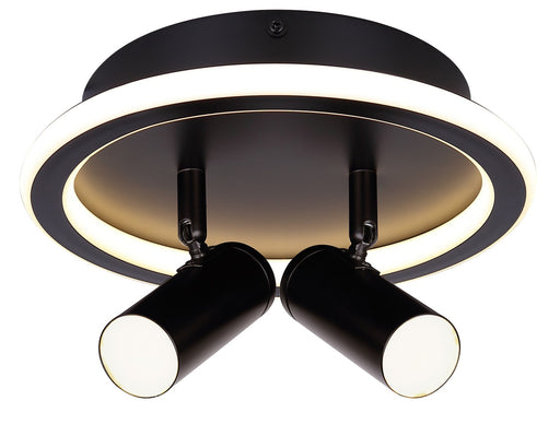 Canarm - LCW314A02BK - Two Light Ceiling/Wall Mount - Denver - Black