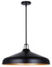 Canarm - IPL1203A04BKG22 - Four Light Pendant - Holland