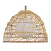 Renwil - LPC4455 - LED Ceiling Fixture - Palm - Brown
