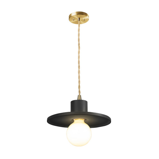 Radiance One Light Pendant Carbon - Matte Black