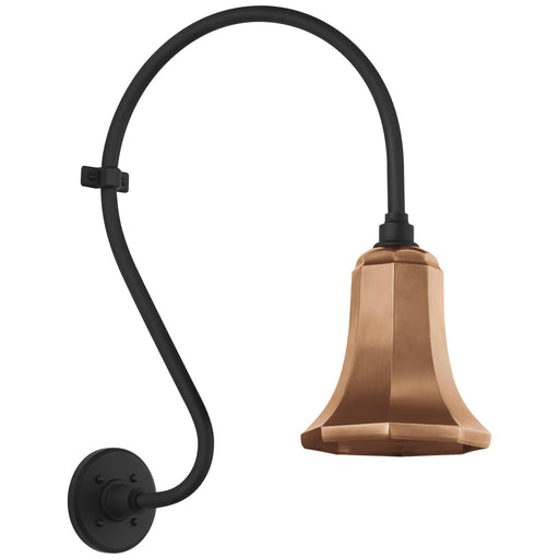 Academy Barn Light LED Barn Light Matte Black