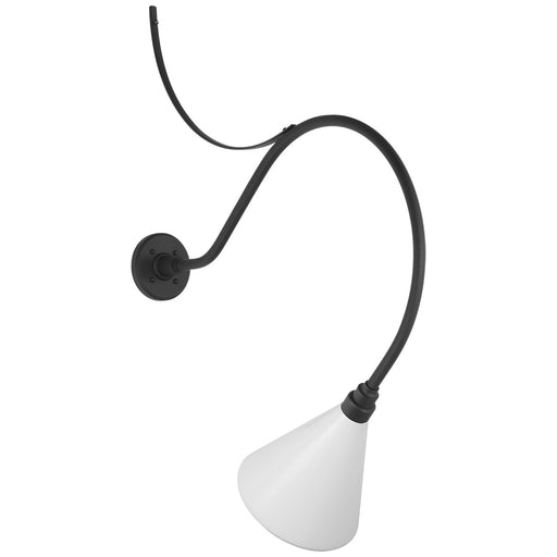 Academy Barn Light LED Barn Light Matte Black