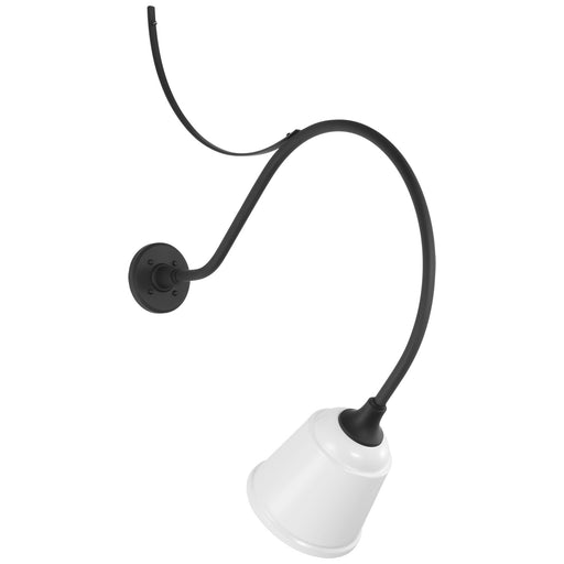 Academy Barn Light LED Barn Light Matte Black