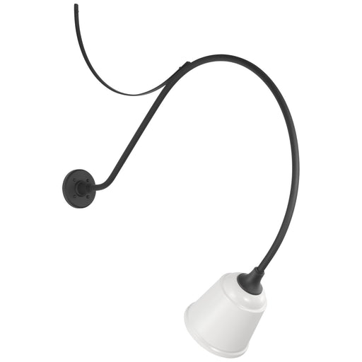 Academy Barn Light LED Barn Light Matte Black