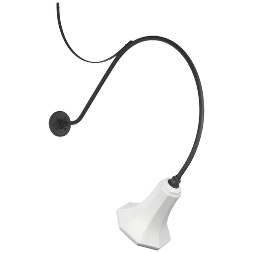 Academy Barn Light LED Barn Light Matte Black