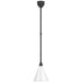 Visual Comfort Signature - TOB 5818MBK-WHT - LED Pendant - Academy Barn Light - Matte Black
