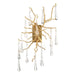 John Richard - AJC-8983 - Two Light Wall Sconce - Clear
