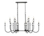 Z-Lite - 352-56L-MB - 16 Light Linear Chandelier - Allistair - Matte Black