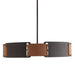 Arteriors - DMI23 - Five Light Chandelier - Ivan - Brown