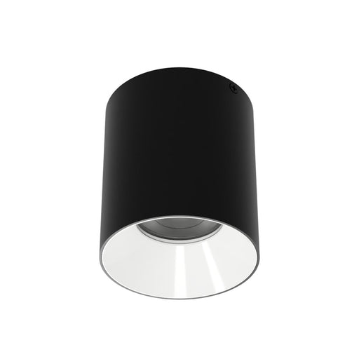 Zoron LED Flush Mount Black/White