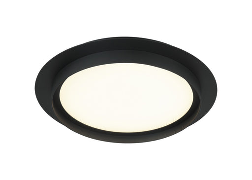 Iris LED Flush / Wall Mount Matte Black