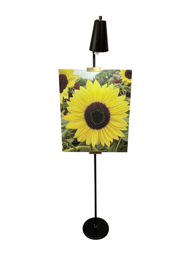 River North LED Floor Lamp Black/Antique Brass