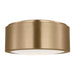 Generation Lighting - GLF1041SB - Flush Mount - Albee - Satin Brass