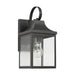 Generation Lighting - GLO1011EN3/ANBZ - One Light Lantern - Saybrook - Antique Bronze