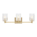 Generation Lighting - GLV1043EN/SB - Three Light Wall / Bath - Lando - Satin Bronze