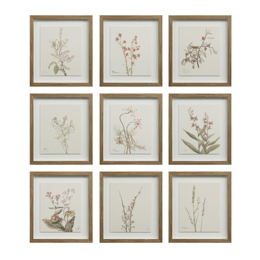 Crema Wall Decor Medium Walnut