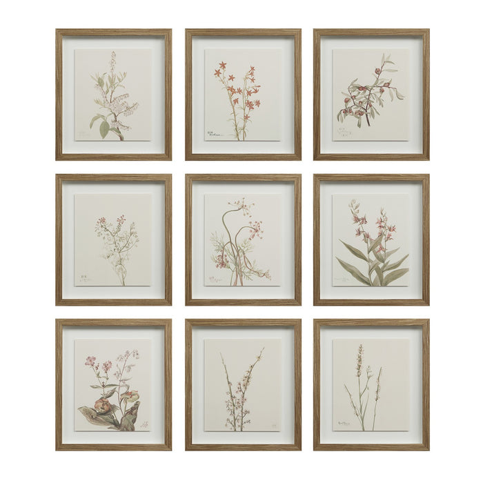 Renwil - PA0043 - Wall Decor - Crema - Medium Walnut
