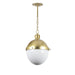 Regina Andrew - 16-1118NB - One Light Pendant - Otis - Natural Brass