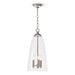 Regina Andrew - 16-1488PN - Three Light Pendant - Maiden - Clear