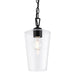 Progress Lighting - P500506-031 - One Light Pendant - Celino - Black
