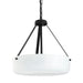 Progress Lighting - P500507-031 - Two Light Convertible Pendant - Lieon - Black