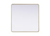 Elegant Lighting - MR8A4242BRA - Mirror - Remy - Brass
