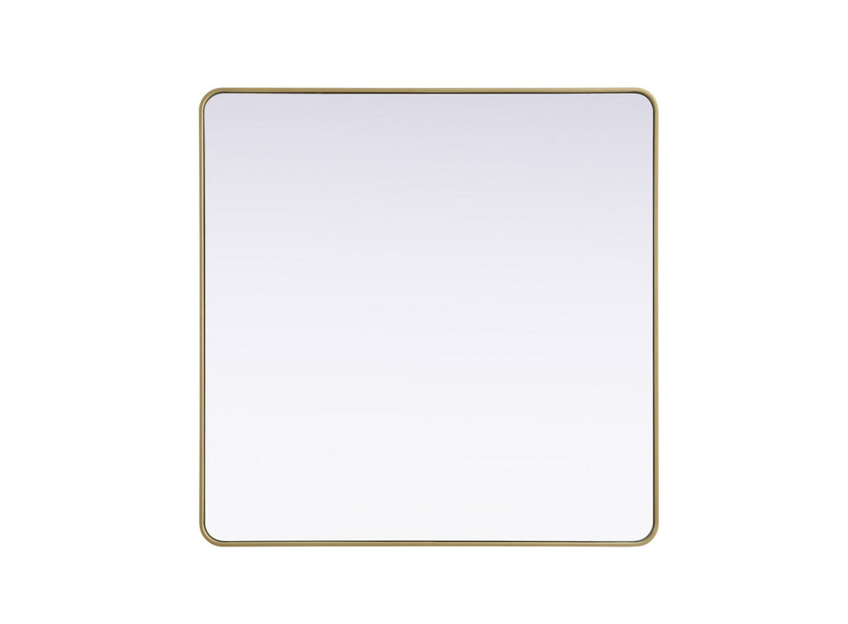 Elegant Lighting - MR8A4848BRA - Mirror - Remy - Brass