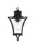 Elegant Lighting - OD311W19BK - One Light Outdoor Wall Sconce - Belgrade - Black