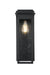 Elegant Lighting - OD362W19BK - One Light Outdoor Wall Sconce - Dunton - Black