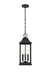Elegant Lighting - OD503H21BK - Three Light Outdoor Pendant - Shepard - Black