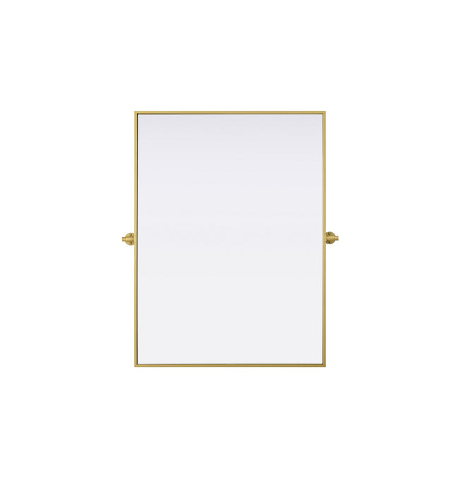 Elegant Lighting - MR6H4030BRA - Mirror - Amoura