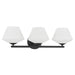 Hunter - 48109 - Three Light Vanity - Celestial Valley - Matte Black